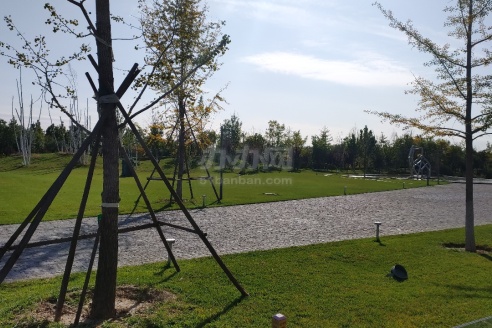 【北京观唐艺术区写字楼出租_北京观唐艺术区商务楼出租】—北京朝阳